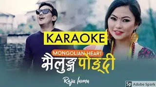 Sailung Pongdi (Raju Lama) - Karaoke With Lyrics || Nepali Karaoke Tracks || BasserMusic