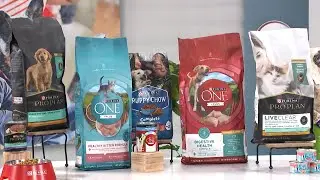 Understanding Pet Nutrition