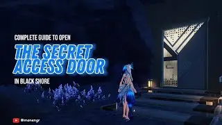Complete Guide of The Mysterious Access Door | Wuthering Waves