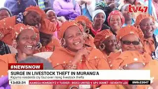 Residents of Kigumo, Murang'a cry foul over rising livestock thefts in the region