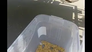 Chia Quinoa Flax Seed Cleaning Machine