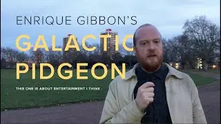 What is entertainment? | Galactic Pidgeon