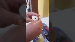 Dia certo para o nascimento do pintinho🐤