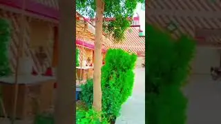 #afghanirabab #pashtomusic #pashtosong #viral