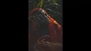 [FREE] Cleo Sol & Frank Ocean Type Beat 