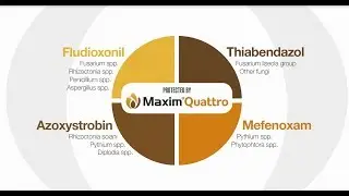 Ready for whatever comes your way, MAXIM&reg; Quattro fungicide seed treatment