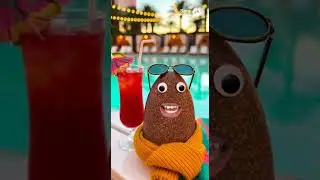 My Pet Rock in Vegas #viral #funny