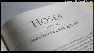 Torah | Hosea Hebrew Recitation | תורה | דקלום עברי הושע