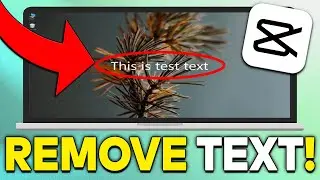 How To Remove Text From Video In CapCut PC (2023)
