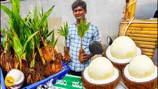 Bangalore Anna Selling Unique Coconut Flower Fruit Cutting Rs. 80/- Only l Karnataka Street Food
