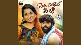 PEDDINTIDHANIVEPILLA