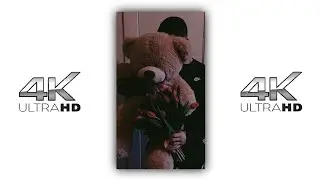 ❣️Teddy Day 4k Full Screen Status 2022 | Teddy Day Whatsapp Status| Happy Teddy Day |Teddy Bear Day
