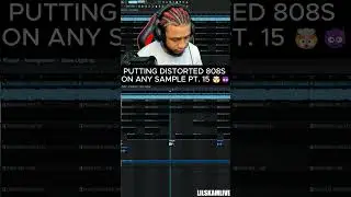 FAERYBABY WITH DISTORTED 808S #808s #distorted808