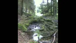 Naturzeit
