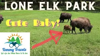 My St  Louis Home & A Drive Through Lone Elk Park