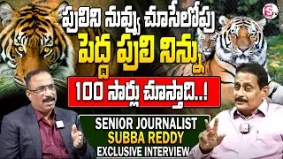 Sr Journalist Subba Reddy about Seshachalam Forest Tiger | Nagaraju Interviews | SumanTV information