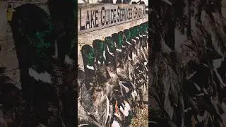Quack 🦆🫡 #duckhunting #hunting #outdoors #fyp
