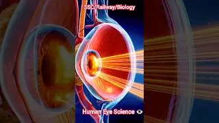 😳 Human Eye Complete Concepts | SSC & Railway Science | One Shot Revision #shorts #eyes #sscrailway