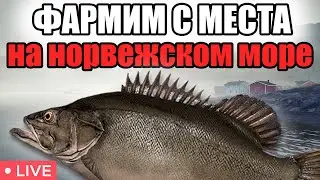 РР4 СТРИМ • ПРОВЕРЯЕМ ТОЧКИ НА НОРВЖЕСКОМ МОРЕ  И ФАРМИМ СЕРЕБРО  •   РУССКАЯ РЫБАЛКА 4