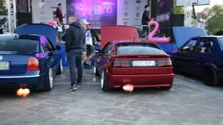 SeaSide Event 2019 by Dreamvag - ''Straszenie Mew'' cz.2 (Wszyscy Straszą Mewy)