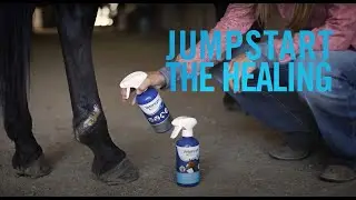 Vetericyn Antimicrobial Equine Wound & Skin care jumpstarts the healing process.