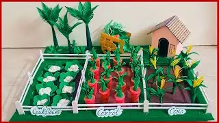 DIY Vegetable Farm Model For School Project | Paper Trees And Plants