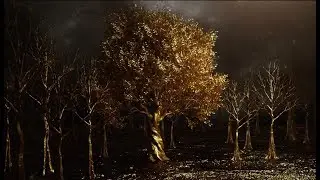 Gold - Official Video - Willow Stephens