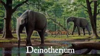 Deinotherium Documentary