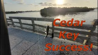 PIER FISHING In Cedar Key Florida! Success Off The Pier! 2025 Fishing