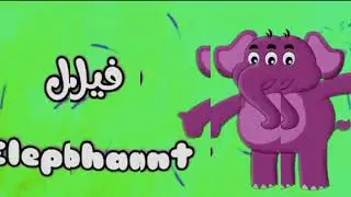 Tamtam Tv Elephant In The Middle Of The Forest Sponsored By Preview 2 Effects 