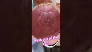 Glaze Kiln Opening! Stunning NEW GLAZE COMBOS!! You Gotta See the Full Video, before & after 📸