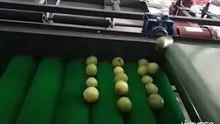 ROUND FRUIT GRADER # APPLE GRADER, ORANGE GRADER, # GUAVA GRADER