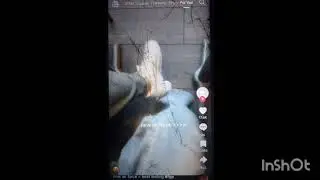 Women Wearing Without Socks But Only White Sneakers