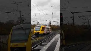 Kleiner Bus auf Schienen f&auml;hrt in Siegen ein