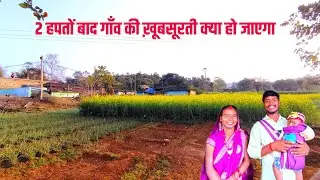 2 हपतों बाद गाँव की ख़ूबसूरती क्या हो जाएगा || charu beti vlogs || #dailyvlog #familyvideo 🙏❤️