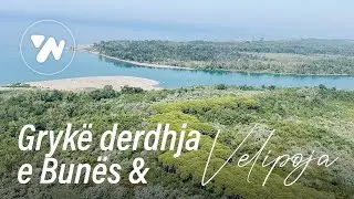 Gryke derdhja e Bunes dhe plazhi i Velipojes nga Ajri - BUNA river & Velipoja Beach from the Air