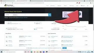 COMO PROTEGER Y EVITAR SCAM 🎃 METAMASK