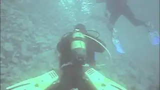Funny video scuba