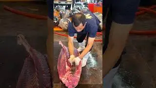 perfect bluefin tuna cuts using legendary knife technique#knifemastery #seafoodreels #satisfying