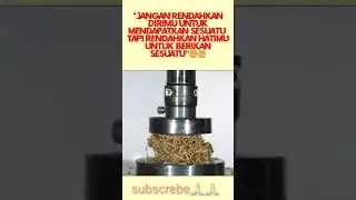 mesin hidrolik menghancurkan roti telepon.fakta alam#shorts #asmr