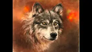Glorious Wolf -Live Broadcast Part 1