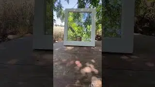 #foryou#momlife#nature#shorts#shortvideo#diy#painting#monday#uk#arizona#national#mirror#countrylife