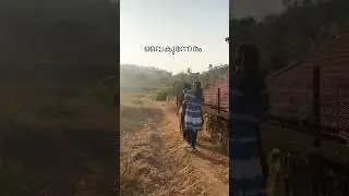 വൈകുന്നേരം അമ്പല വൈബ് 🌿 | ഗ്രാമസൗന്ദര്യം #shorts #viralshorts #keralabeauty