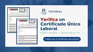 How to Obtain the CertiJoven - CertiAdulto Certificate for Free (Updated 2024)