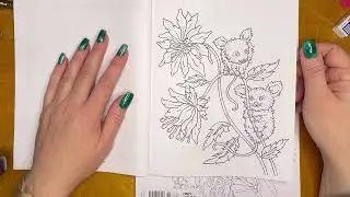 Fantasy Animals by Hanna Karlzon and a small Haul