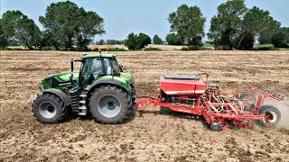 SORGO E SOIA: GIOIE E DOLORI DI 2° RACCOLTO