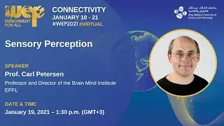 Sensory Perception