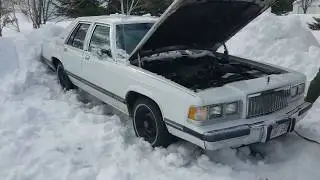 1990 Grand Marquis Cold Start (4 months), Reving