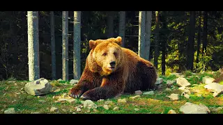 The Carpathian Legends - bicycle tour with Velovuyki and Git2P 170 camera