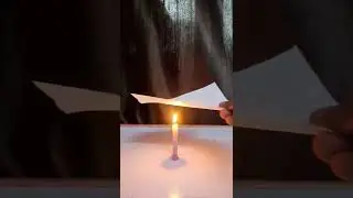 ONION Amazing science Experiment do to at home #short